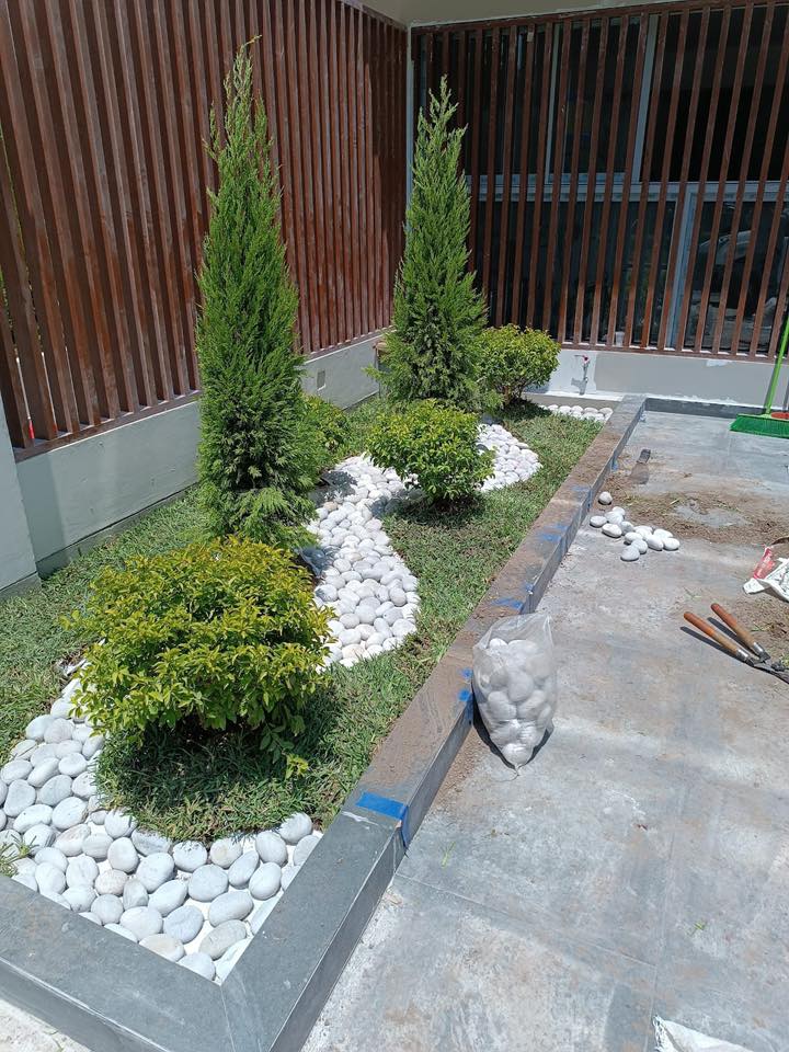 Proyecto 3